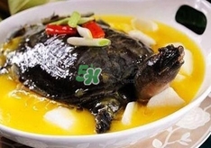甲魚不能和什么一起吃？甲魚不能跟什么食物一起吃