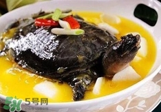甲魚(yú)湯孕婦能喝嗎？甲魚(yú)湯孕婦可以喝嗎
