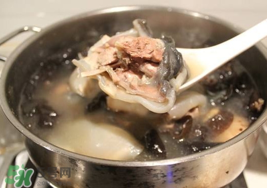 甲魚(yú)湯孕婦能喝嗎？甲魚(yú)湯孕婦可以喝嗎