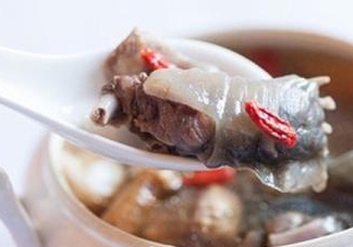 甲魚湯怎么做？甲魚湯的做法