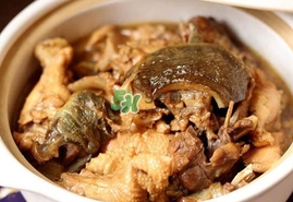 甲魚(yú)怎么做好吃？甲魚(yú)怎樣做最好吃
