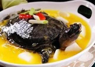 甲魚不能和什么一起吃？甲魚不能跟什么食物一起吃