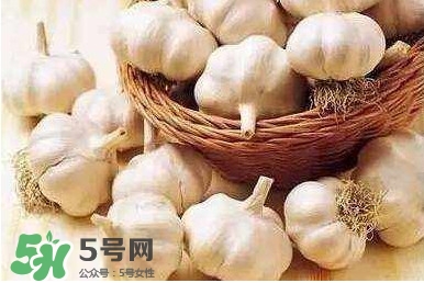 新蒜頭怎么保存不發(fā)芽？新蒜頭怎么存放