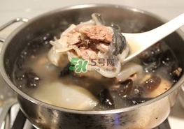 甲魚湯怎么做？甲魚湯的做法