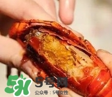 蝦黃孕婦能吃嗎？蝦黃在哪個(gè)位置圖解