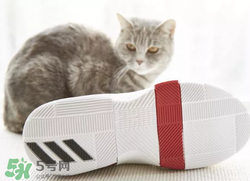 adidas dame3上腳怎么樣？阿迪達斯利拉德三代測評