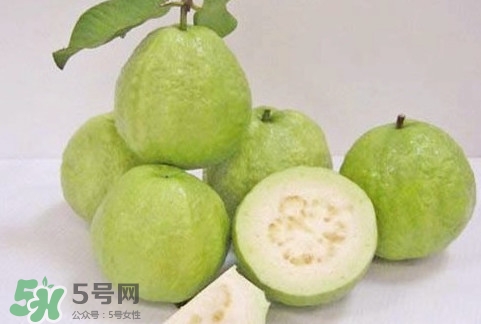 番石榴什么時候成熟？番石榴什么時候上市