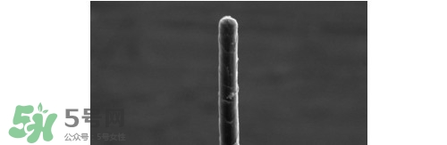 熊野巨匠小熊筆怎么用？熊野巨匠小熊去黑頭筆使用方法