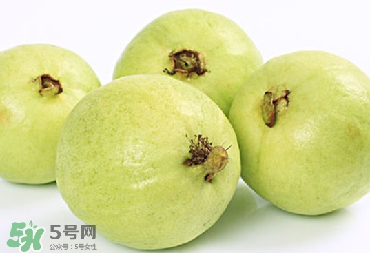 番石榴什么時候成熟？番石榴什么時候上市
