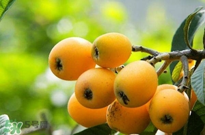 孕婦能吃枇杷嗎？孕婦吃枇杷對(duì)胎兒好嗎？
