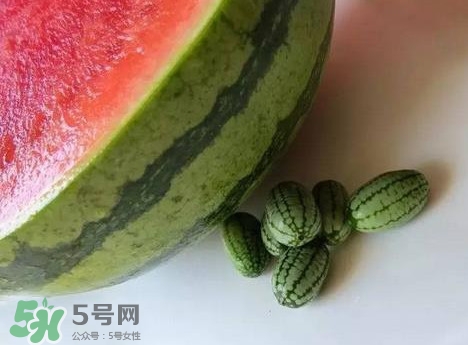 迷你西瓜是轉(zhuǎn)基因水果嗎？迷你西瓜是不是轉(zhuǎn)基因？