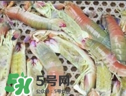 蝦黃孕婦能吃嗎？蝦黃在哪個(gè)位置圖解