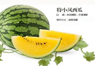 特小鳳西瓜是轉基因嗎？特小鳳西瓜是不是轉基因