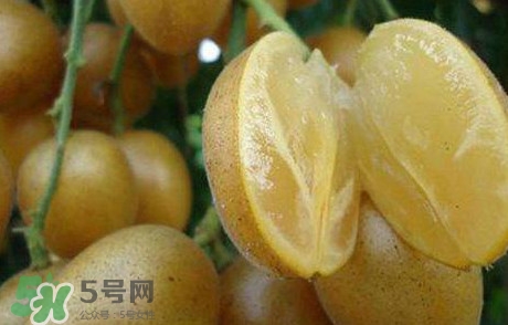 黃皮果多少錢一斤2017？黃皮果價格