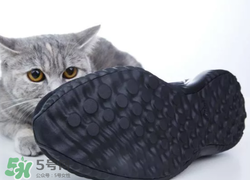 adidas alphabounce上腳怎么樣？阿迪達(dá)斯阿爾法小椰子測(cè)評(píng)