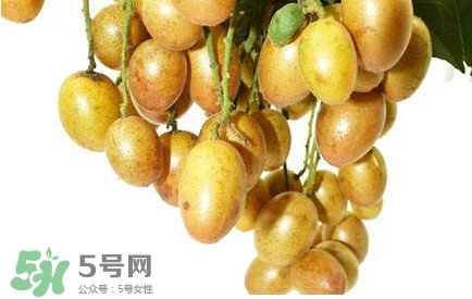 黃皮果什么時(shí)候成熟？黃皮果什么時(shí)候上市