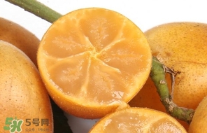 黃皮果怎么保存？黃皮果如何保存