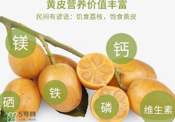 如何種植黃皮果？黃皮果怎么種植？