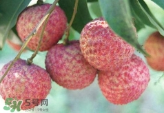 荔枝吃多了會怎么樣？荔枝上火怎么辦？