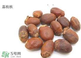 荔枝核怎么吃？荔枝核的功效與作用