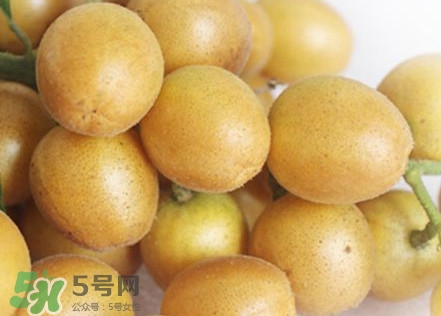 雞心黃皮幾年才掛果？雞心黃皮如何種植管理