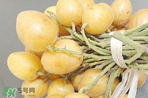 黃皮果多少錢一斤2017？黃皮果價格