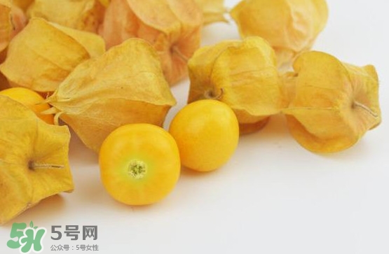 姑娘果是寒性嗎？姑娘果是涼性還是熱性？