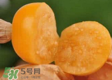 姑娘果是寒性嗎？姑娘果是涼性還是熱性？