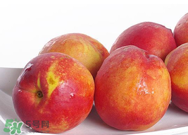 吃油桃會(huì)拉肚子嗎？拉肚子可以吃油桃嗎？