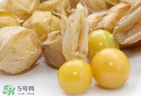 姑娘果什么時候成熟？姑娘果什么時候上市
