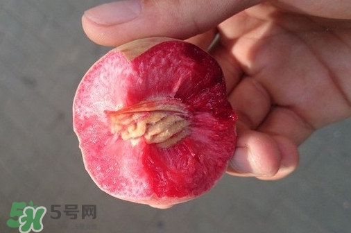 血桃產(chǎn)地在哪？血桃哪些地方產(chǎn)