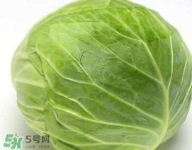 圓白菜是什么菜？圓白菜能生吃嗎？