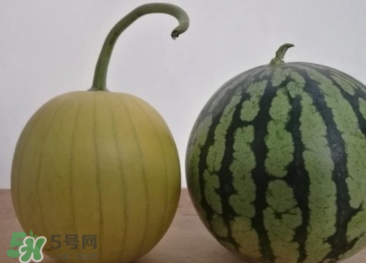 四色瓤西瓜是轉(zhuǎn)基因嗎？四色瓤西瓜是不是轉(zhuǎn)基因？