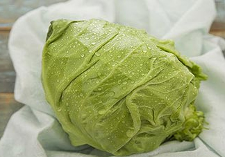 圓白菜是包菜嗎？圓白菜是大頭菜嗎？