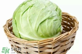 圓白菜是卷心菜嗎？圓白菜是不就是卷心菜