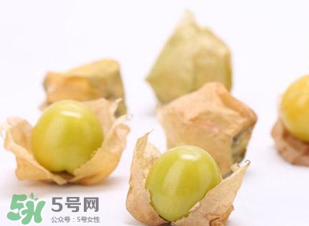 姑娘果什么時候成熟？姑娘果什么時候上市