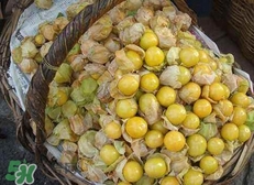 花姑娘水果怎么吃？花姑娘水果吃之前要洗嗎？