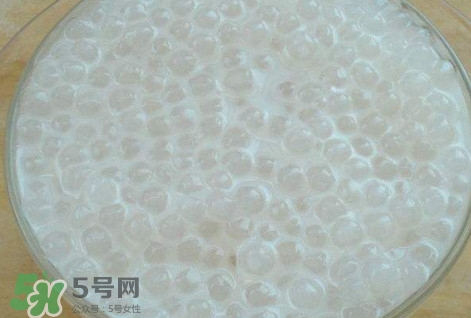 楊枝甘露是比喻什么？楊枝甘露是什么