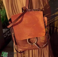 chloe faye雙肩包多少錢？蔻依faye雙肩包專柜價格