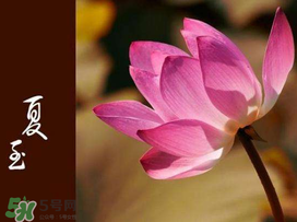 2017年夏至?xí)掠陠?？夏至下雨有什么說(shuō)法？