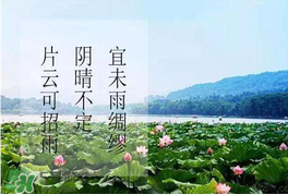 夏至是入伏嗎？夏至后多久入伏？