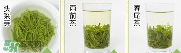 信陽毛尖什么牌子好？信陽毛尖哪個(gè)品牌好