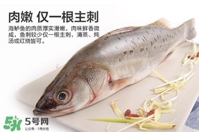 鱸魚(yú)是海鮮嗎？鱸魚(yú)是不是海鮮？