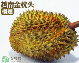 紅心榴蓮多少錢一斤？紅心榴蓮為什么這么貴？