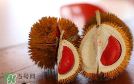 紅心榴蓮多少錢一斤？紅心榴蓮為什么這么貴？