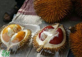 紅心榴蓮多少錢一斤？紅心榴蓮為什么這么貴？