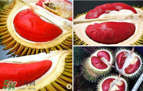 紅心榴蓮叫什么？紅心榴蓮是哪個國家產(chǎn)的？