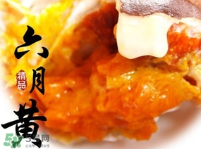 六月黃是什么蟹？六月黃什么時(shí)候上市