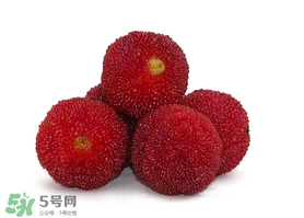 吃完楊梅不能吃什么？吃完楊梅可以吃別的水果嗎？