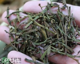 螃蟹腳茶哪些人不能喝？螃蟹腳茶哪些人能喝